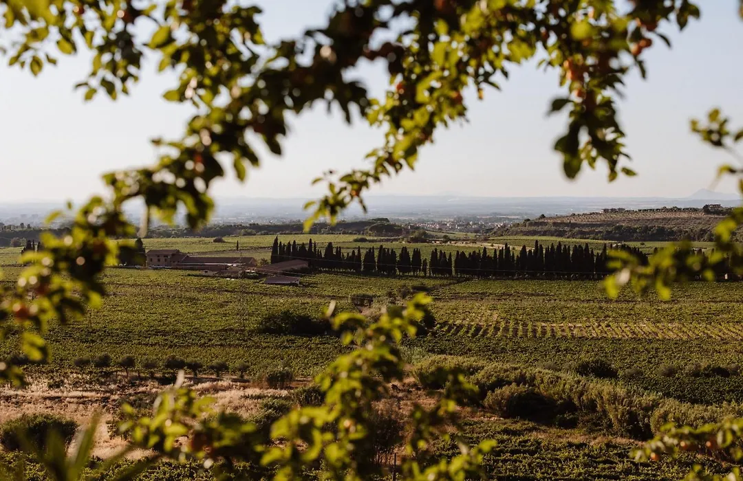 Merumalia Wine Resort-1